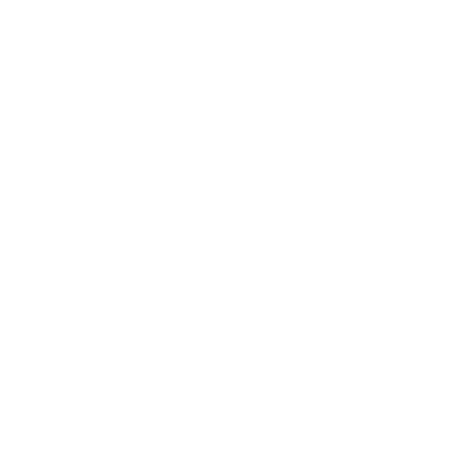Leading Provider